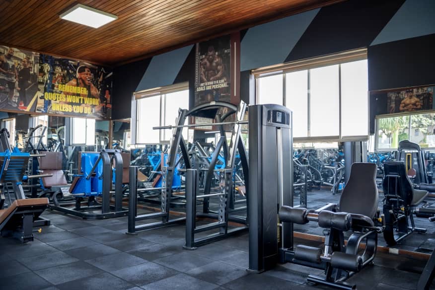 The Gym
